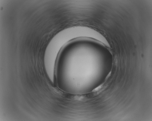 X0000067930570200604272012
