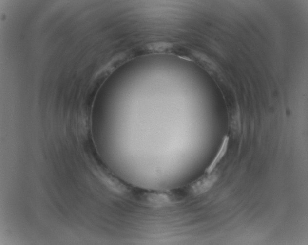 X0000067930572200604272012