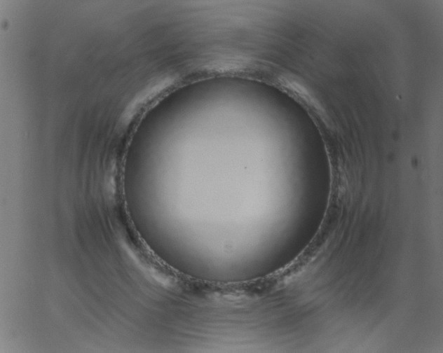 X0000067930586200604272011