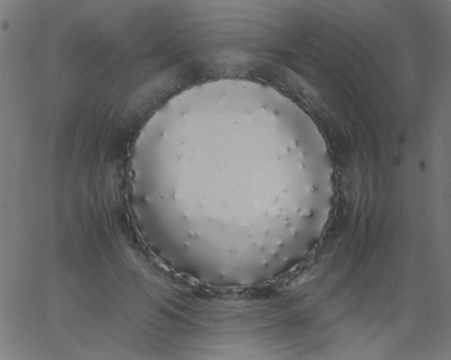 X0000067930594200604272011