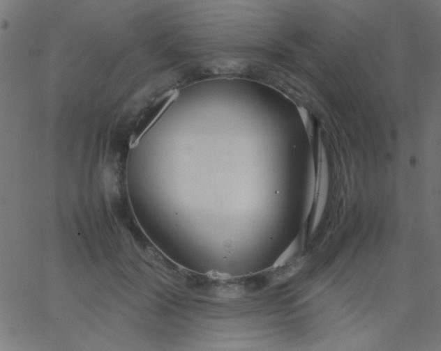 X0000067930604200604272010
