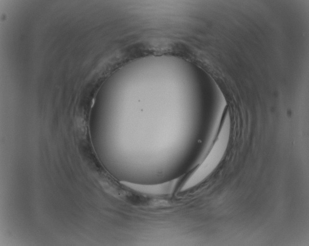 X0000067930609200604272010