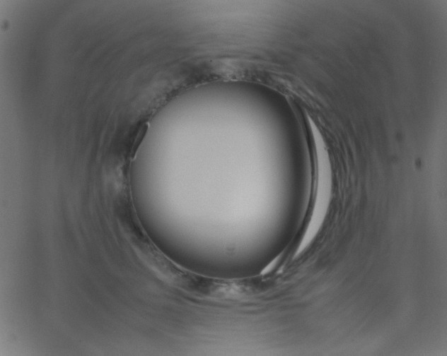 X0000067930611200604272010
