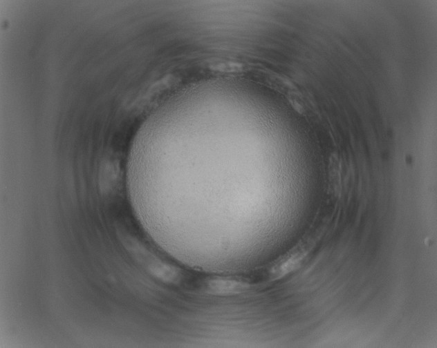 X0000067930614200604272010