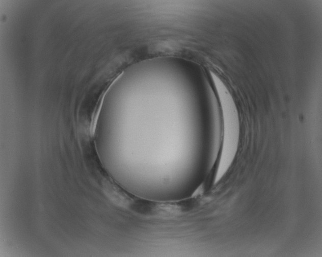 X0000067930617200604272010