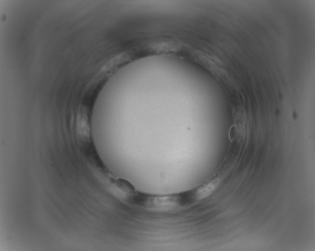 X0000067930622200604272010