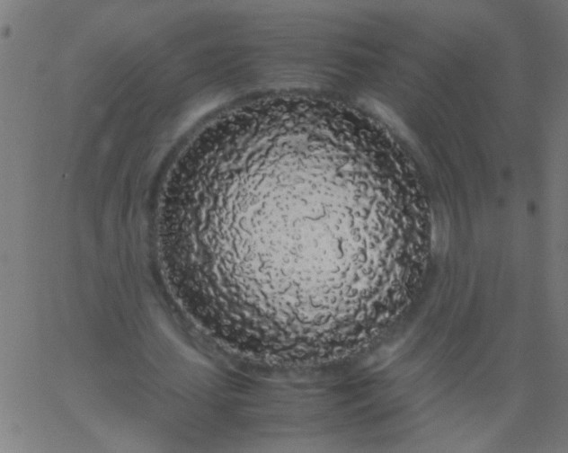 X0000067930627200604272009