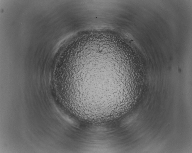 X0000067930640200604272010