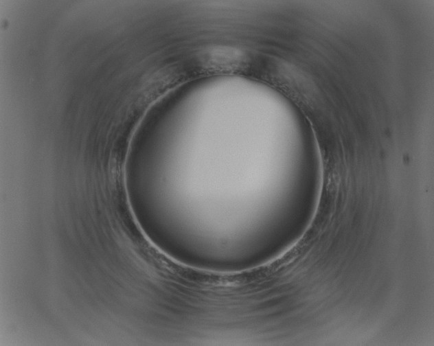 X0000067930647200604272010