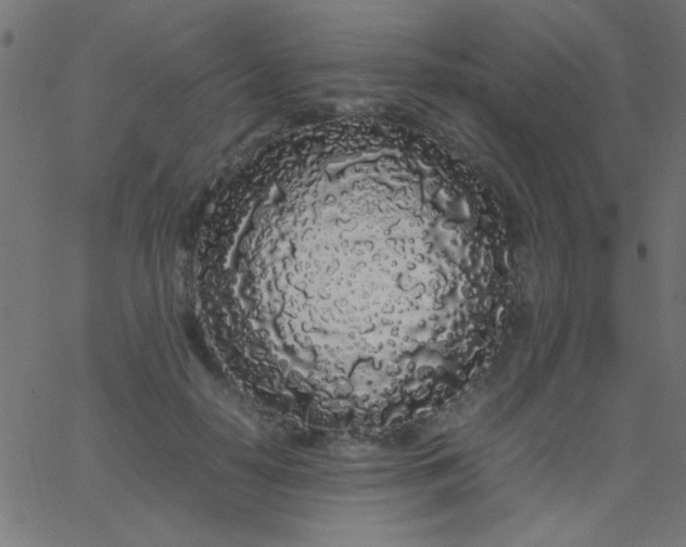 X0000067930650200604272010