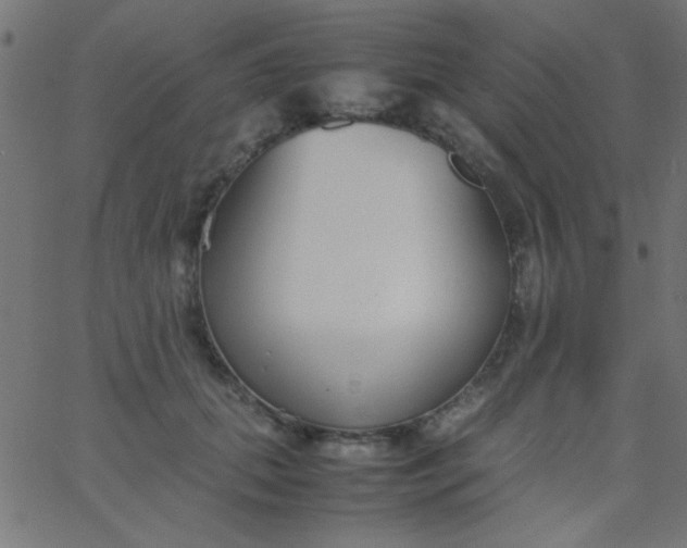 X0000067930655200604272010