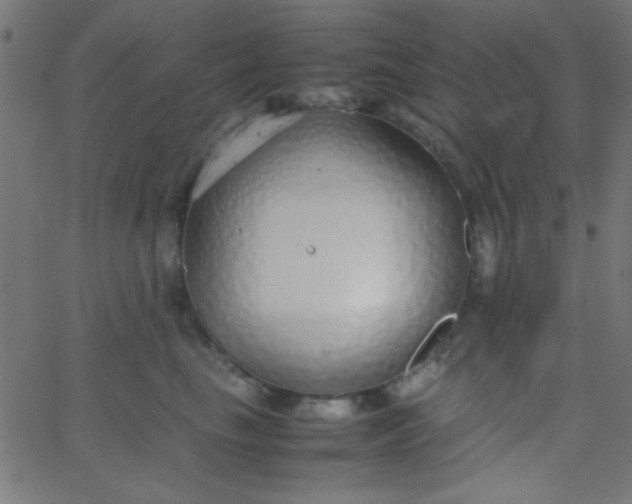 X0000067930665200604272010