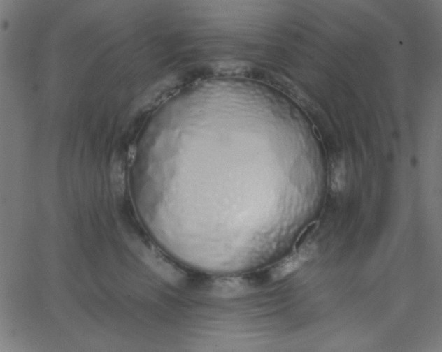 X0000067930666200604272010