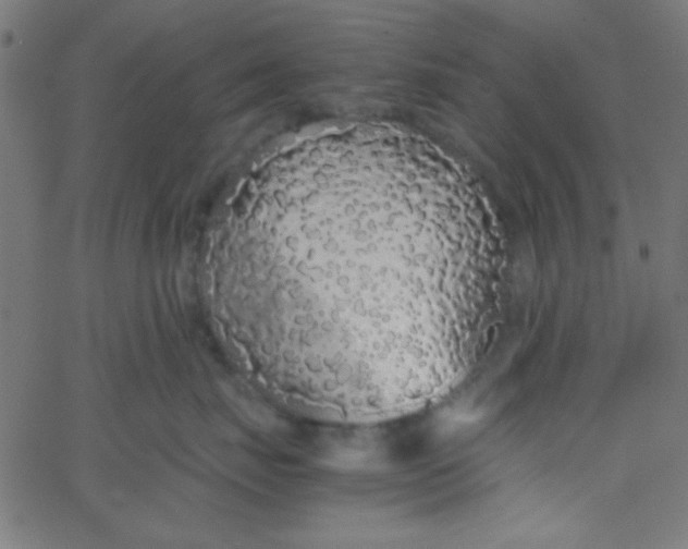 X0000067930671200604272010