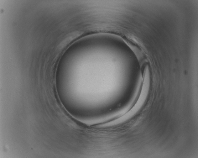 X0000067930673200604272009