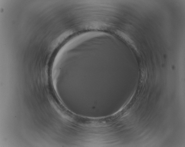 X0000067930678200604272009