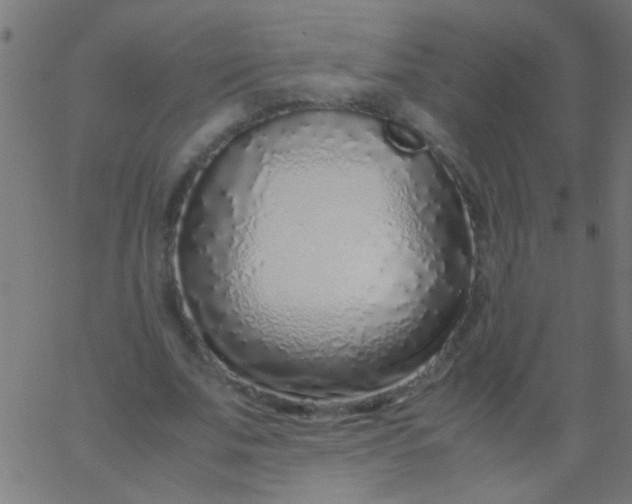 X0000067930679200604272009
