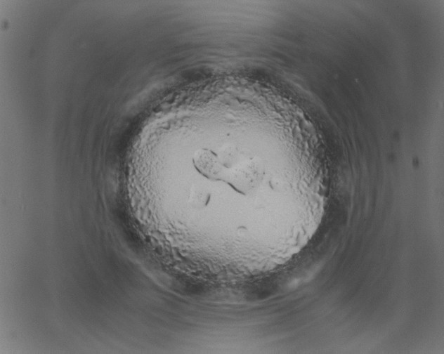 X0000067930691200604272009