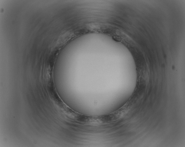 X0000067930702200604272009