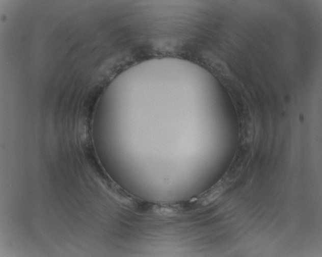 X0000067930706200604272009