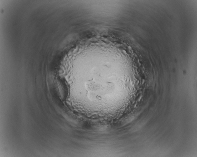 X0000067930711200604272009