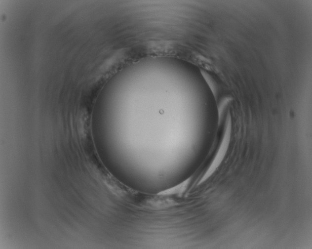 X0000067930712200604272009