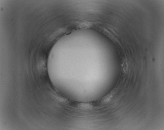 X0000067930714200604272009