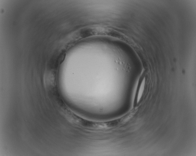 X0000067930715200604272009
