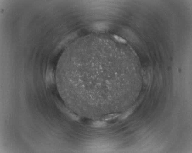 X0000067930718200604272009