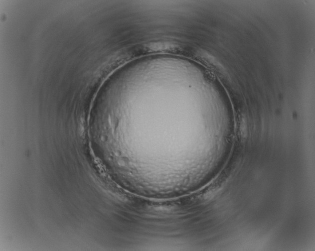 X0000067930737200604272008