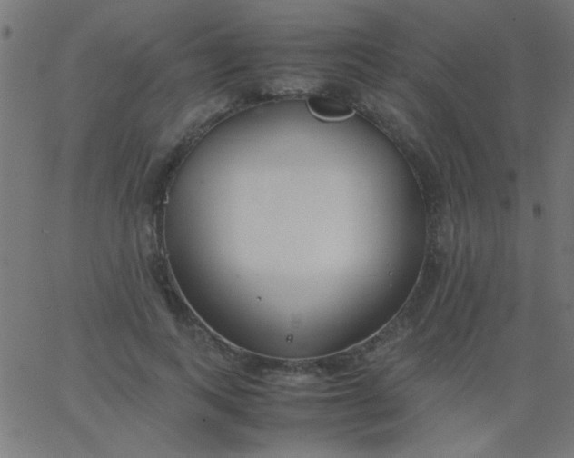X0000067930743200604272008