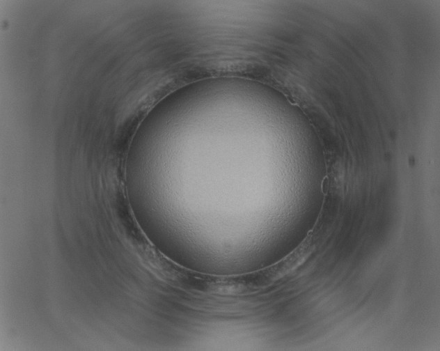 X0000067930746200604272008