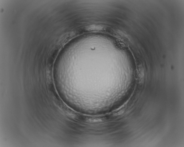 X0000067930749200604272008