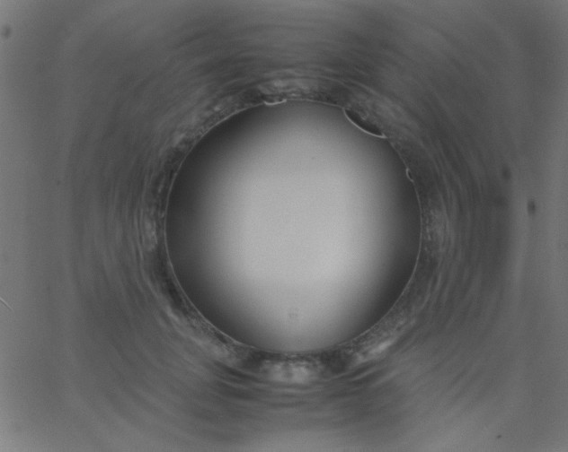 X0000067930751200604272008