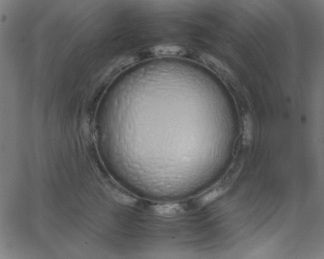 X0000067930761200604272008