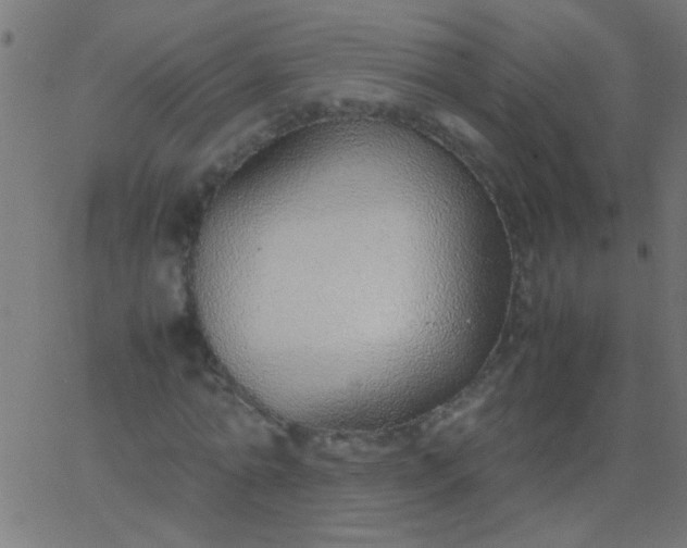X0000067930774200604272008