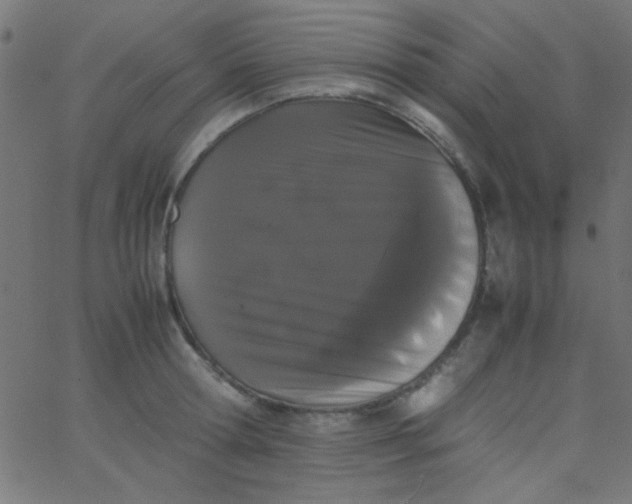 X0000067930802200604272007