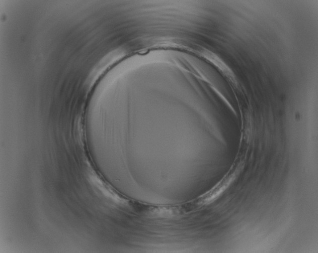 X0000067930806200604272007