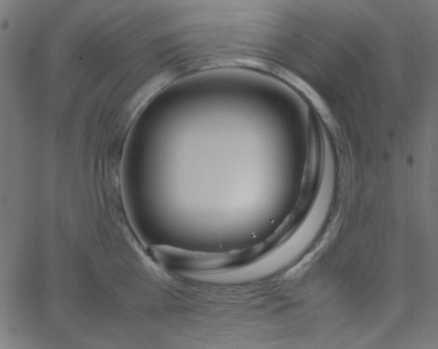 X0000067930809200604272007