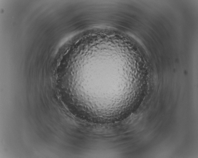 X0000067930823200604272006