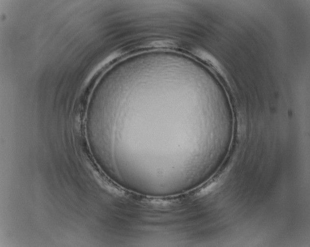 X0000067930827200604272006