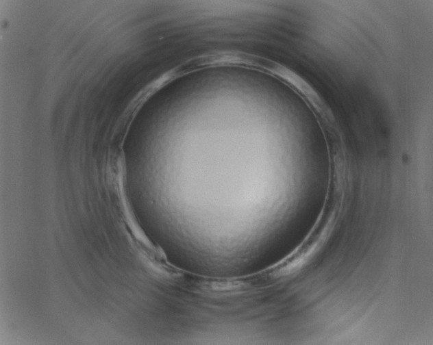 X0000067930857200604272007