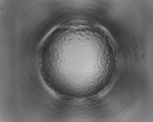 X0000067930859200604272007