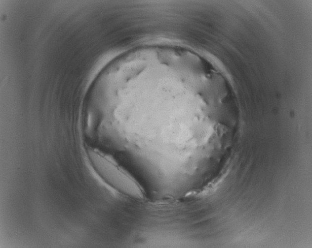 X0000067930863200604272007