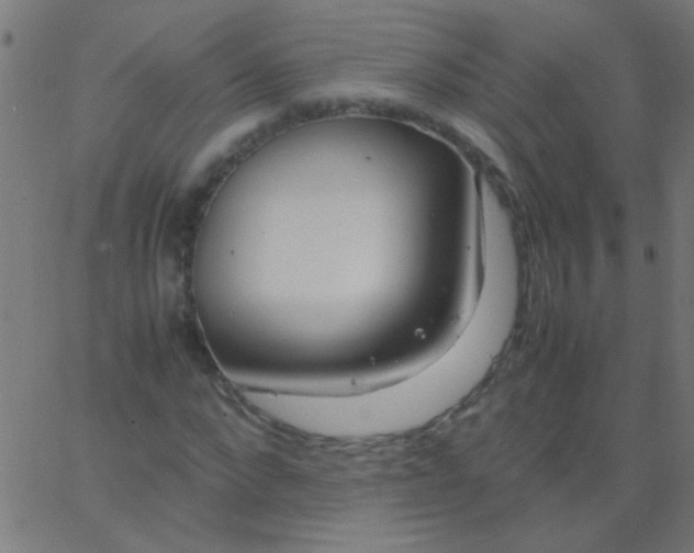 X0000067930872200604272006