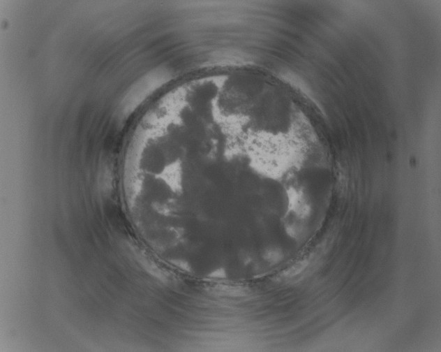 X0000067930874200604272006