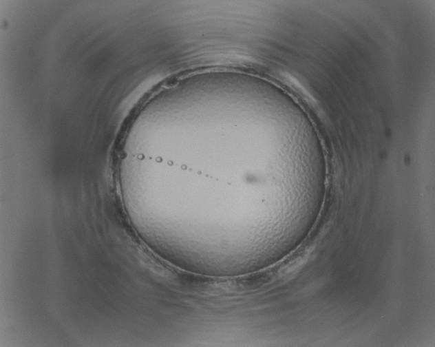X0000067930883200604272006