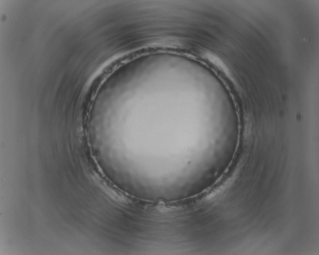 X0000067930923200604272005