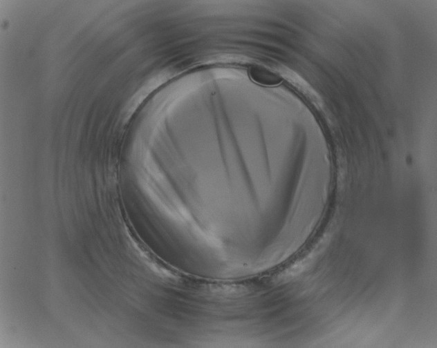 X0000067930945200604272005