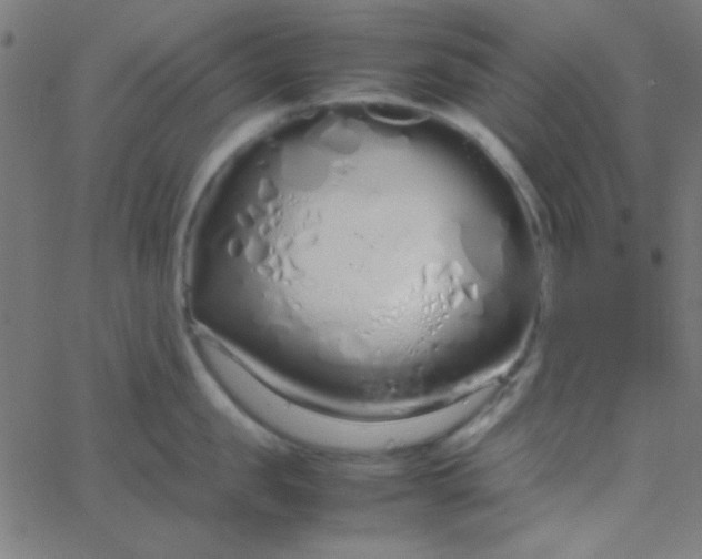 X0000067930957200604272005